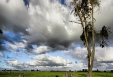 华体会:专家热议:推广普及和产业发展同步 推动越野滑雪健康发展2025-03-12.