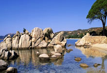 华体会:张宁35分 山西逆转1分险胜天津锁定常规赛第二.